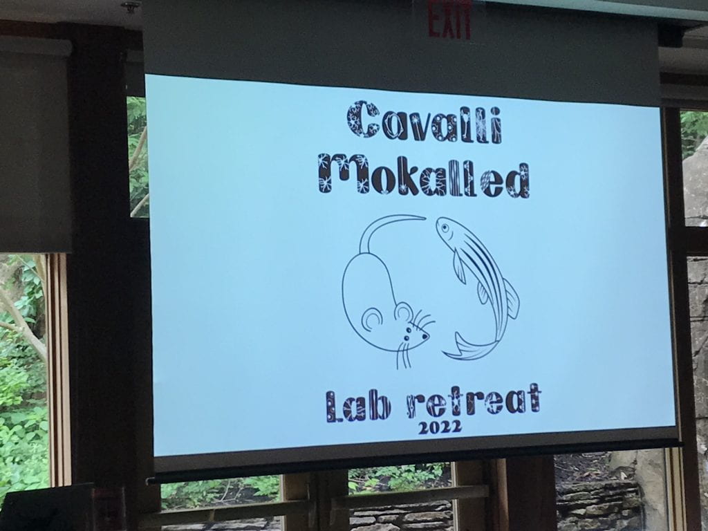 Cavalli Mokalled lab retreat sign