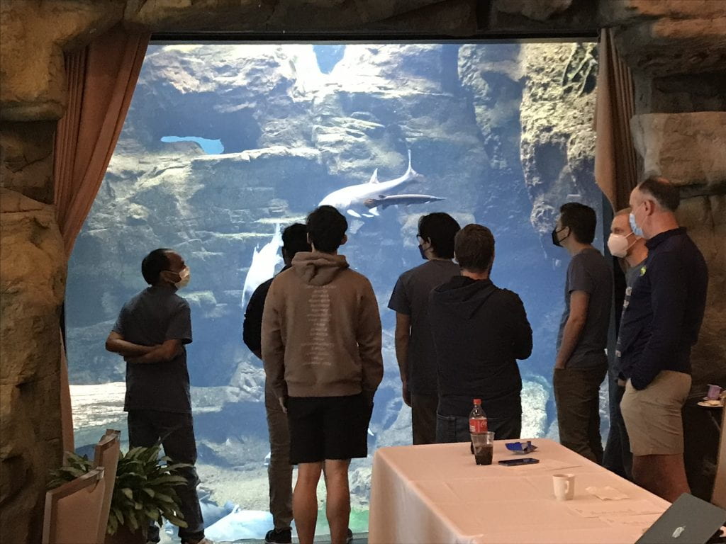 People watching fish swim in a large aquarium at a zoo