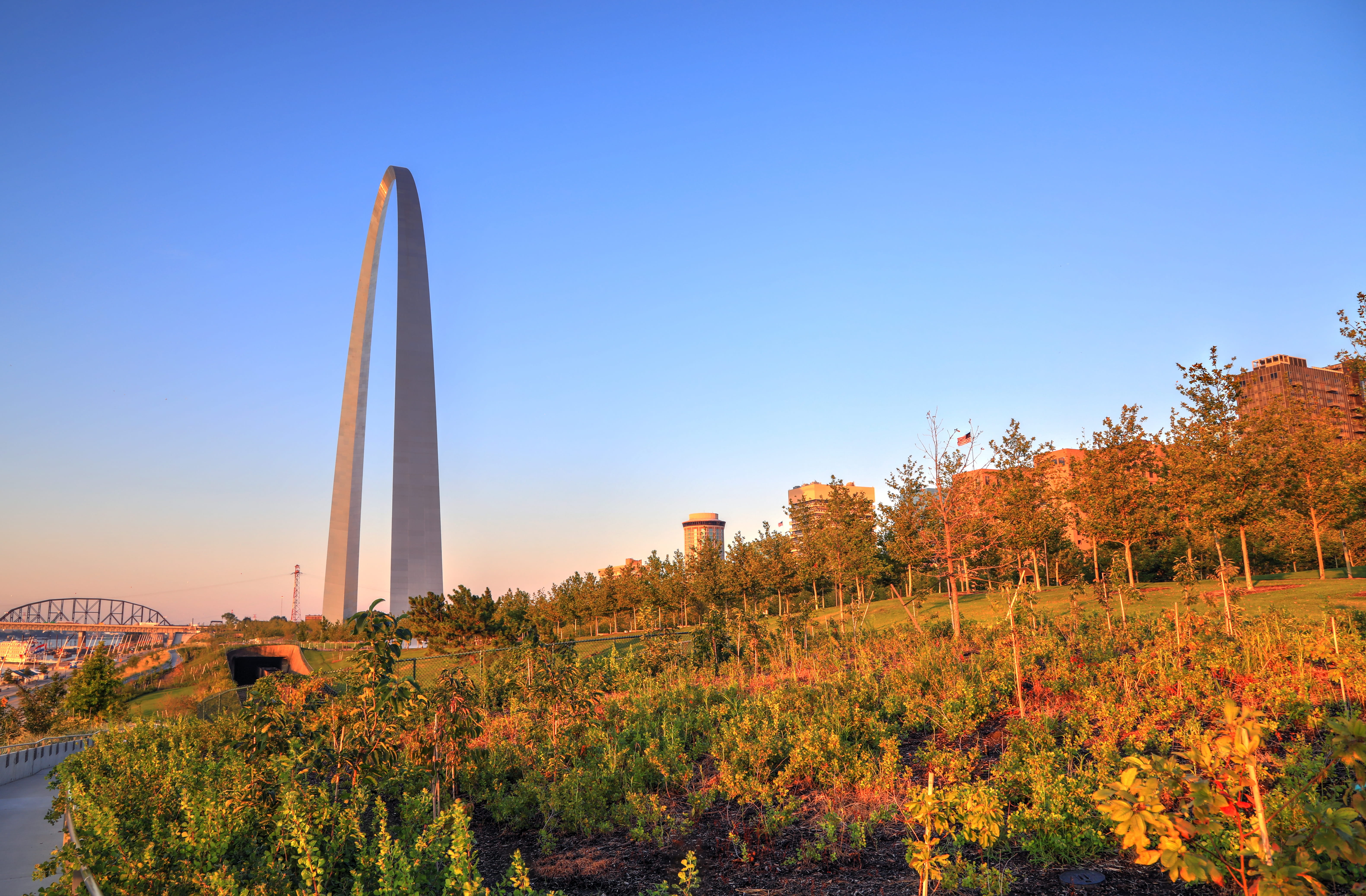 St. Louis arch with fall leaves in foreground