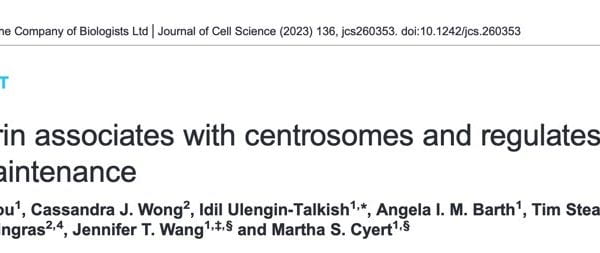 Our collaboration with the Cyert lab on calcineurin at centrosomes and cilia is published
