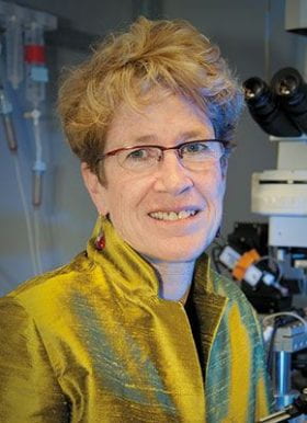 Jeanne M Nerbonne, PhD