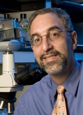 David Gutmann, MD, PhD