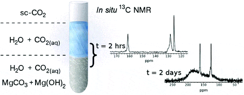 In Situ Measurement of Magnesium Carbonate Formation from CO2 Using Static High-Pressure and -Temperature 13C NMR