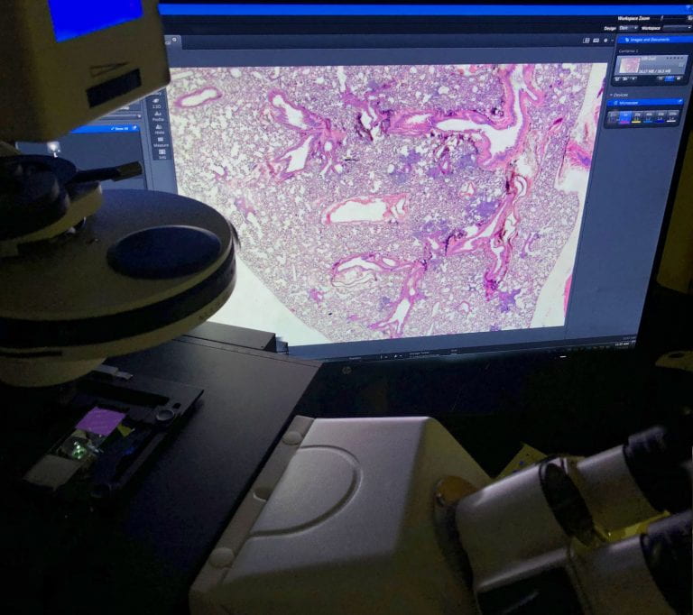 Wide-Field Microscopy for Histology and Fluorescence