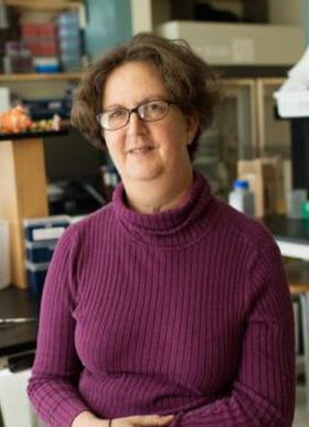 Laura Romberg, PhD