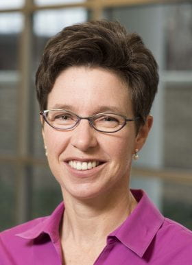 Catherine Lang, PT, PhD, FAPTA