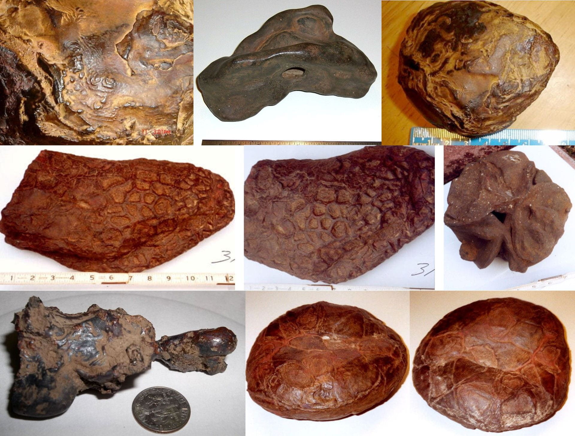 Iron-oxide concretions and nodules