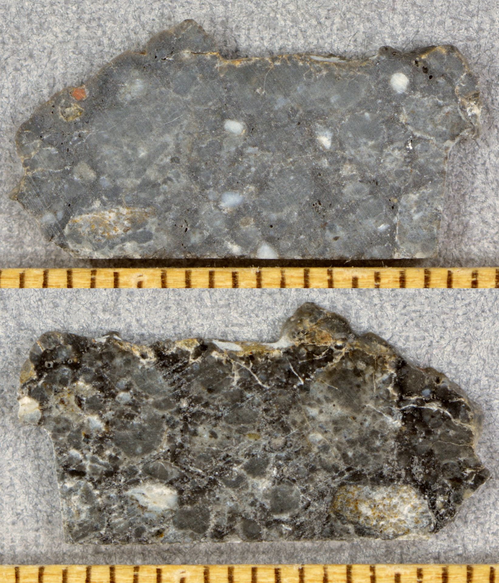 Lunar Meteorite: Northwest Africa 10141 clan | Some Meteorite 
