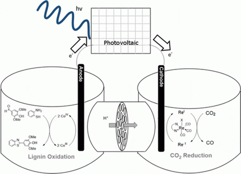 Paired Electrolysis in the Simultaneous Production of Synthetic Intermediates and Substrates