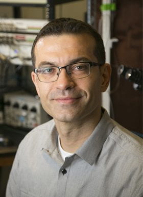 Nenad  Bursac, PhD