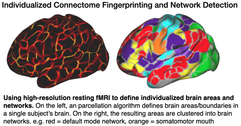 Using high-resolution resting fMRI to define individualized brain areas and networks. On the left, a parcellation algorithm defines defines boundaries in a single subjects brain, on the right, the resulting areas are clustered into brain networks.