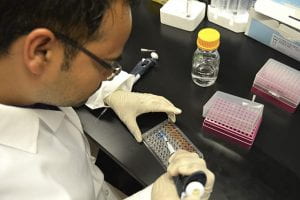 Lab member working with samples