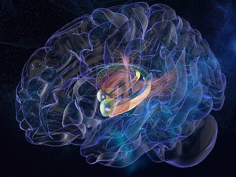 Stimulating the Brain’s Emotional Center Enhances Memory